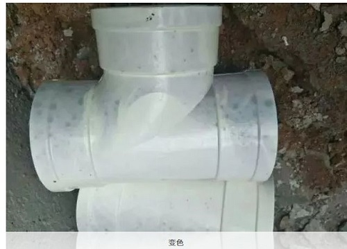 1584606701252766.jpg 1.jpg