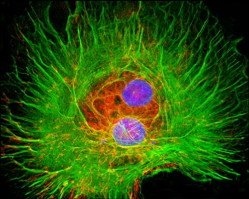 1603438160180787.jpg tech-19_wps80F.tmp.jpg