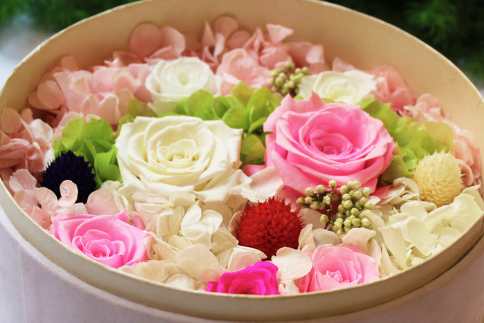 1743216770139705.jpg 1743216770139705.jpg